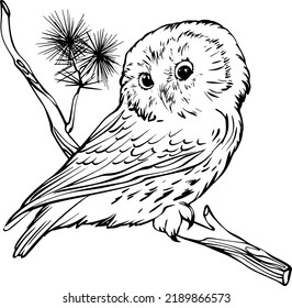 Owl on a branch vector black and white hand-drawn drawing