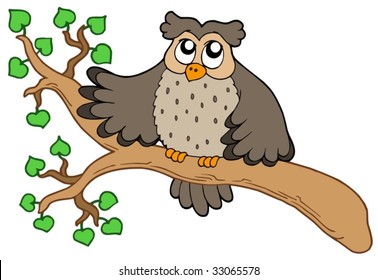 Búho en bifurcación - ilustración vectorial.