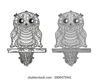 Owl on isolated white. Detailed hand drawn line bird with abstract patterns on isolated background. Abstract ornate character. Different color options. Black and white illustration