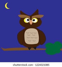 owl on a tree