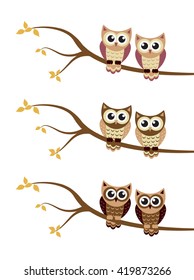 owl on a tree
