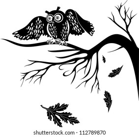 Owl On A Tree Branch