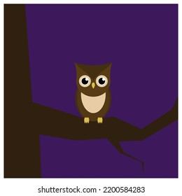 An owl on a tree branch.