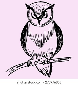 owl on tree branch, doodle style, sketch illustration