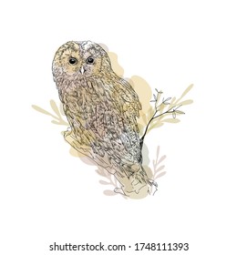 
Owl on a tree branch drawn by a black contour. In the light of transparent spots, abstraction. Creative children's illustration.
