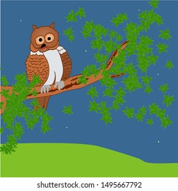 Owl on tree branch in the night. Vector illustration