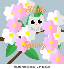 Owl on the tree hello spring vector illustration flat desing