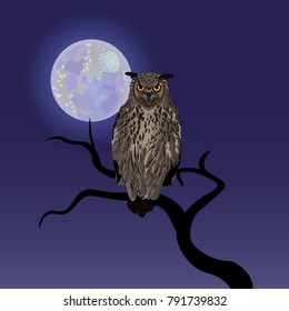 Owl on tree at midnight with full moon background. Vector illustration
