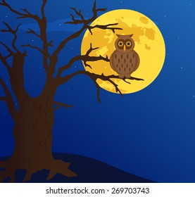 owl on a tree, vector