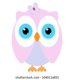 owl on a white background