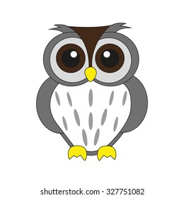 Owl on white background