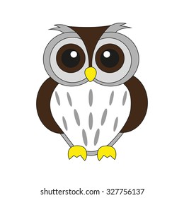 Owl on white background