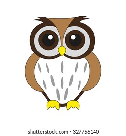 Owl on white background