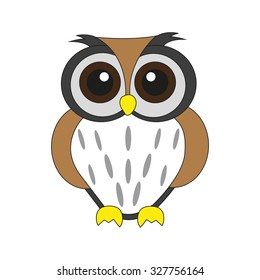 Owl on white background