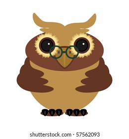 owl on white background