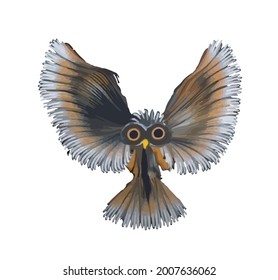 owl painted with color poster on a white background