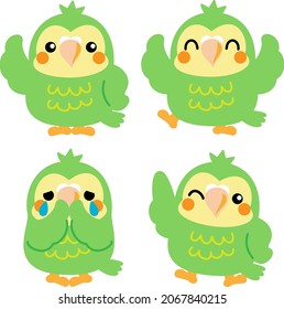 Owl Parrot Kakapo Parrot Bird New Zealand Illustration Material