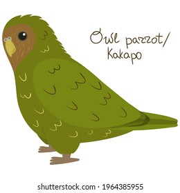 Owl parrot or kakapo in cartoon style on white background. Vector hand drawn illustration. Strigops habroptila.