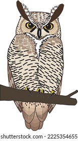 Owl Perched on Branch Vector Illustration
