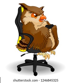 Owl plays video games. Isolated on a white background.
