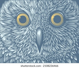 Owl portrait. Editable hand drawn illustration. Vector vintage engraving. 8 EPS