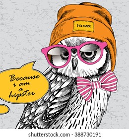 Owl portrait in a Hipster Hat and with glasses. Vector illustration.