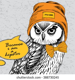 Owl portrait in a Hipster Hat and with tie. Vector illustration.