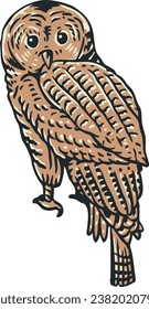 Owl Pose Vector Design for Book, Sticker, Sign, and Poster