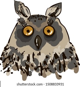 owl. print t-shirt, clothing, owl sketch, hand drawing