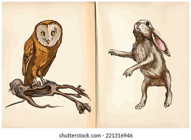 Owl and Rabbit - An hand drawn and painting halloween illustrations. Description: Each drawing comprise of two (or three) layers of lines plus colored layer, the background is also isolated.