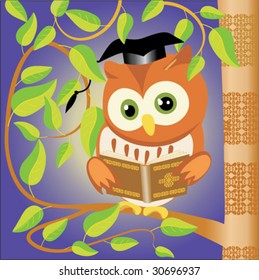 owl read a book