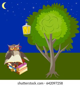 Owl is reading