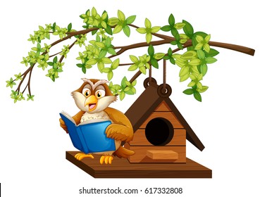Owl reading book by the birdhouse illustration