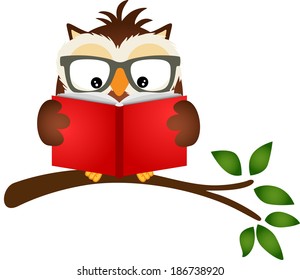 Owl Reading A Book On Tree Branch