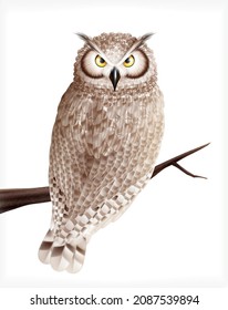 Owl realistic composition with blank background and isolated image of bird sitting on wooden tree branch vector illustration