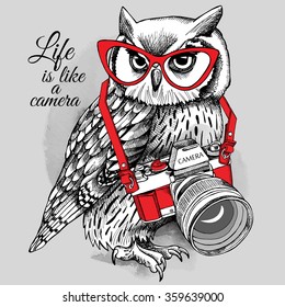 Owl in red glasses with a camera on gray background. Vector illustration.