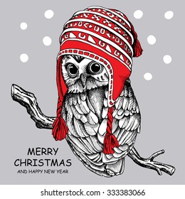 Owl in a red winter long knit hat on gray background. Vector illustration.