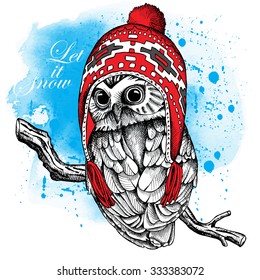 Owl in a red winter long knit hat on blue background. Vector illustration.