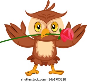 Owl with rose, illustration, vector on white background.