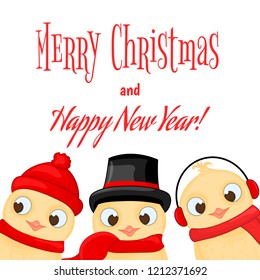 owl in the Santa Claus hat and scarf. postcard for the new year and Christmas. Isolated objects bird on white background. Template for text and congratulations.