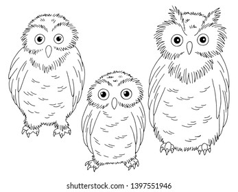 Owl set graphic black white isolated sketch illustration vector