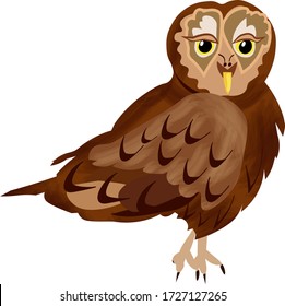 owl side view on white background