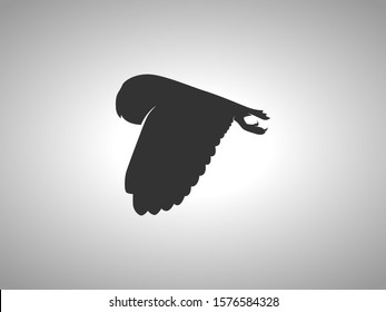 Owl Silhouette on White Background. Isolated Vector Animal