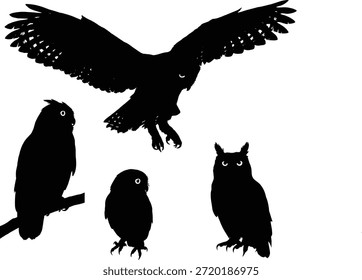 Conjunto de Vector de silueta de búho, íconos de aves negras, poses de búho volador y posado, ilustración de vida silvestre, gráfico de naturaleza, Elementos de diseño editables, Formas de animales para el arte, colección de Vector imprimible