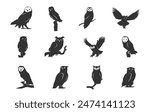 Owl silhouettes, Barn owl silhouette, Owl silhouettes vector illustration, Owl clipart.