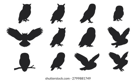 Owl Silhouettes Collection On White Background bird