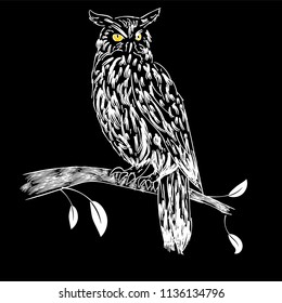 Owl sillhouetteon on black background vector illustratoin