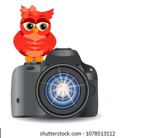 Owl sits on the button Start realistic, modern camera, isolated on white background with copy space