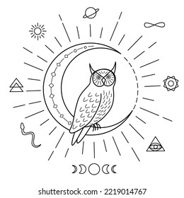 Owl sits on a moon surrounded by occult signs. Vector black and white illustration in line art style.