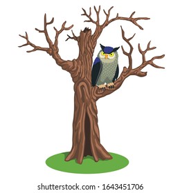 
Eine Eule sitzt auf einem alten toten Baum und sieht vorsichtig aus.